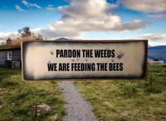 Pardon The Weeds